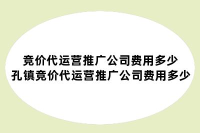 竞价代运营推广公司费用多少 孔镇竞价代运营推广公司费用多少
